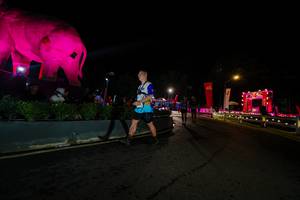 BIB: 
                            <button type="button" onclick="openModal(26552606)" class="btn btn-primary btn-sm float-right btn-popup" data-toggle="modal" data-target=".modal-high-quality">
                        <i class="fas fa-shopping-cart"></i> Add to Cart
                    </button>
                                            <button type="button" onclick="isThisMe(26552606, true)" class="btn btn-success btn-sm float-right btn-popup btn-isme hidden" data-toggle="tooltip" data-placement="bottom" title="นี่คือรูปของคุณใช่ไหม คลิกที่นี่เพื่อเอาเข้าอัลบั้ม">
                        <i class="fas fa-plus"></i> Add to album
                    </button>
                    <button type="button" onclick="isThisMe(26552606, false)" class="btn btn-warning btn-sm float-right btn-popup btn-isnotme hidden">
                        <i class="fas fa-ban"></i> Remove from album
                    </button>